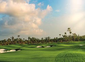 森林城市高尔夫度假村-梁国坤经典球场