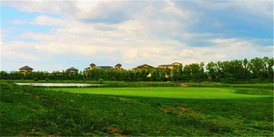 辽宁大连夏丽国际