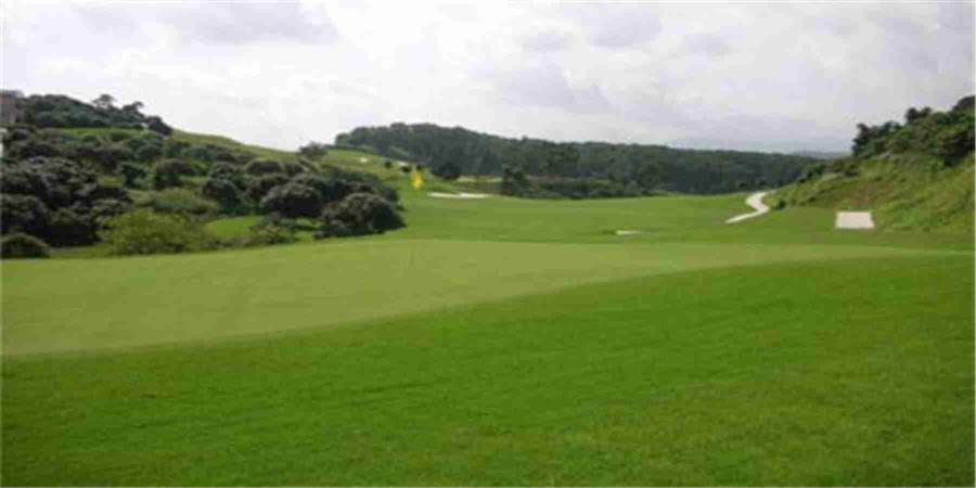 广东东莞凤凰山