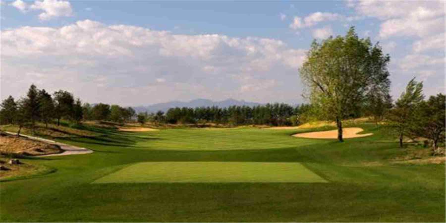 河北秦皇岛松石