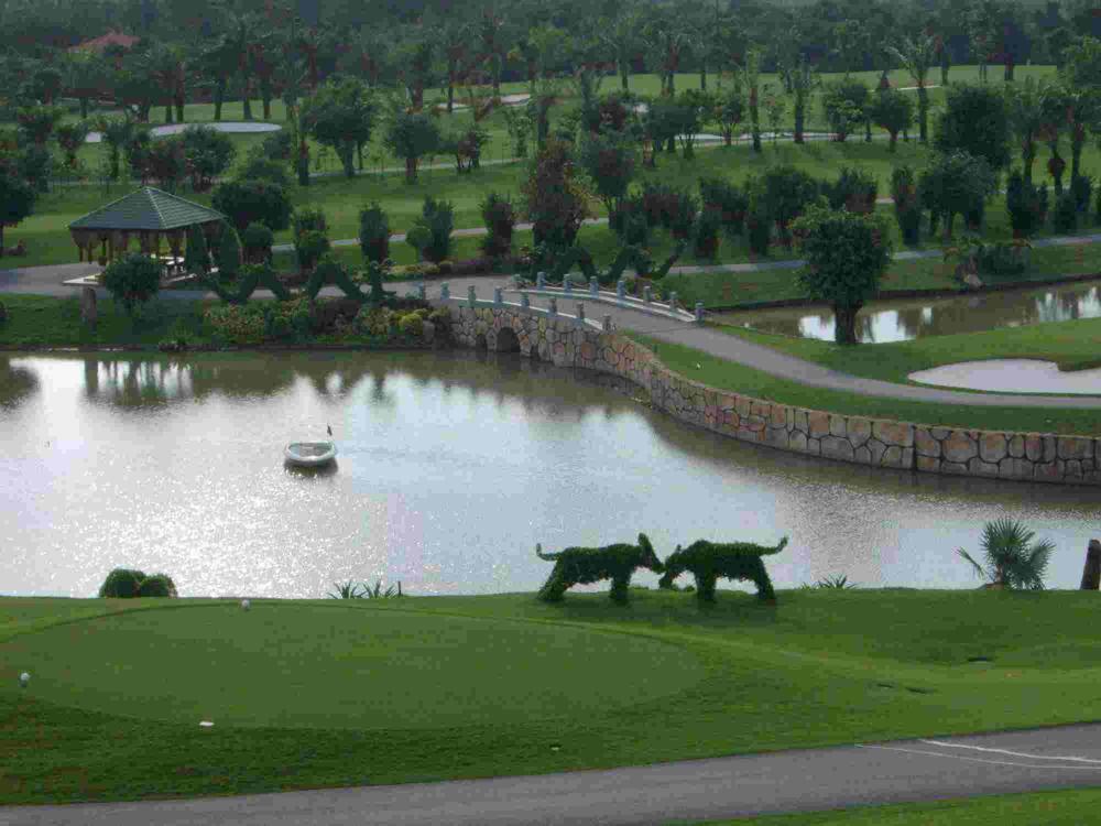 越南胡志明隆城