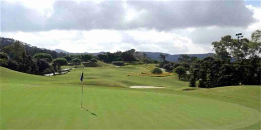 广东东莞长安乡村