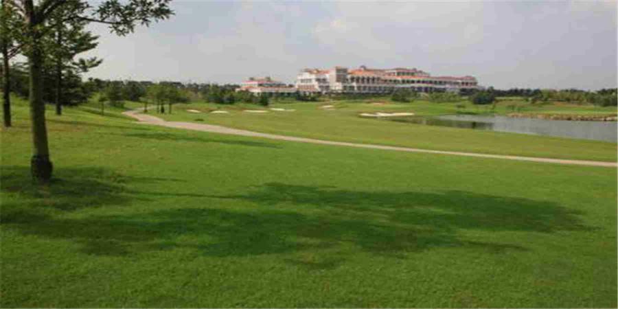 上海新天鸿名人