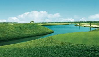 江苏射阳海滨国际