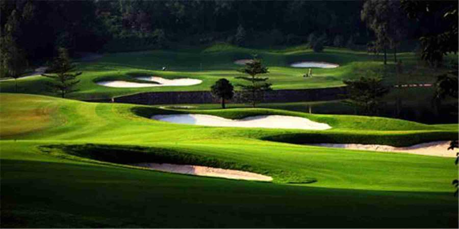 广东佛山南海桃园