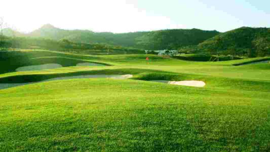 山东威海天益 (原利智)