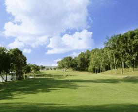 越南胡志明同奈保长