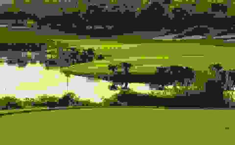 江苏南通长江国际