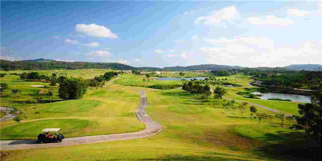 罗勇丝绸橡树乡村