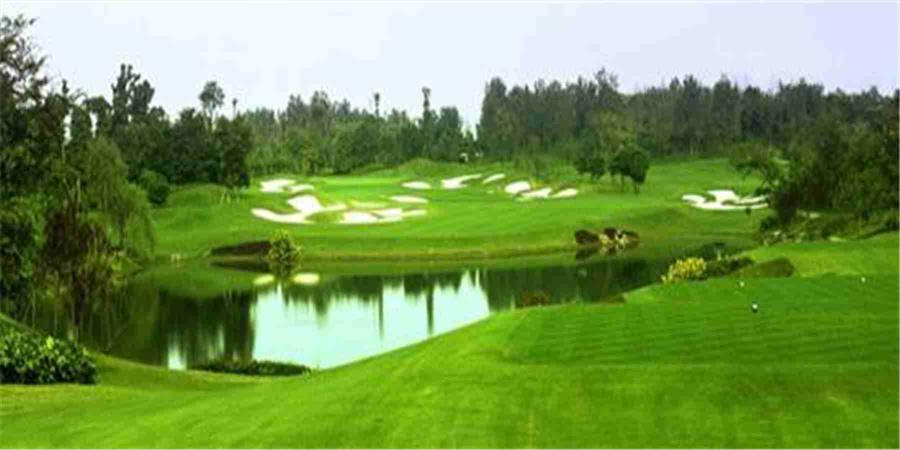 四川成都麓山国际                        