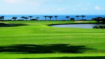 江苏射阳海滨国际