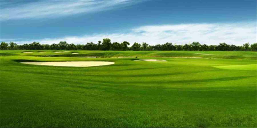 广东东莞银利外商