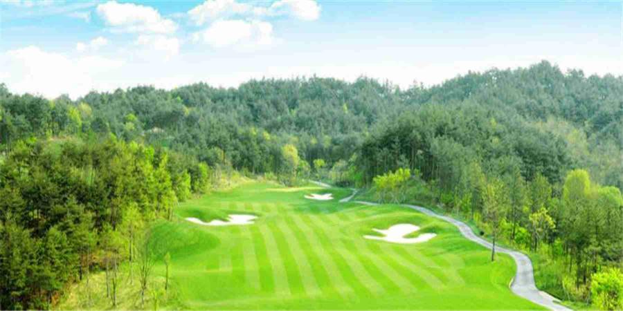 广东佛山高明银海