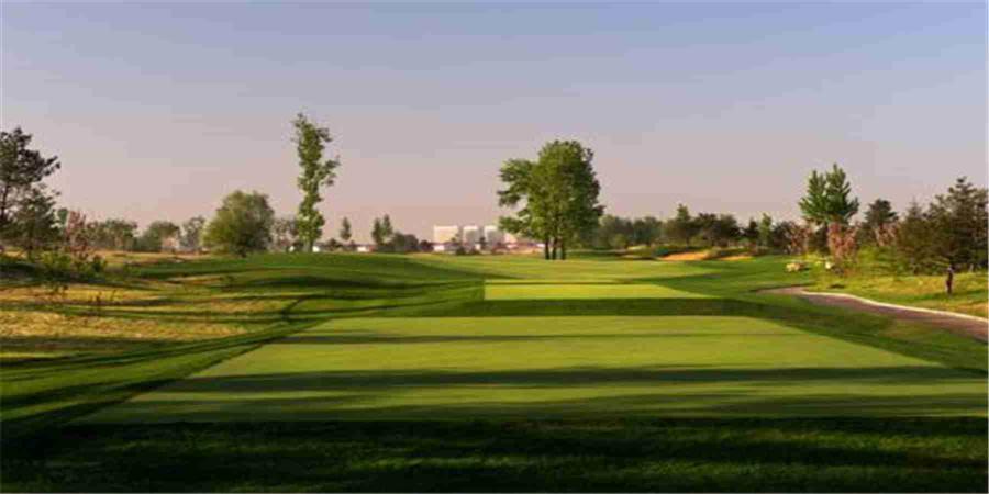 河北秦皇岛松石