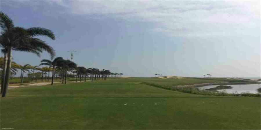 广东阳江保利南海I号