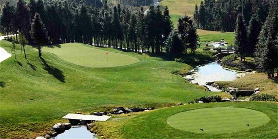 云南腾冲高黎贡