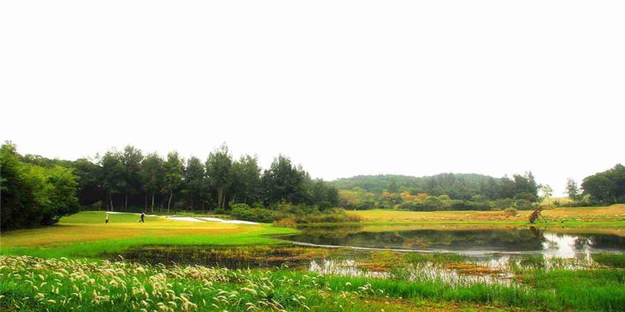 福建厦门凯歌-AB