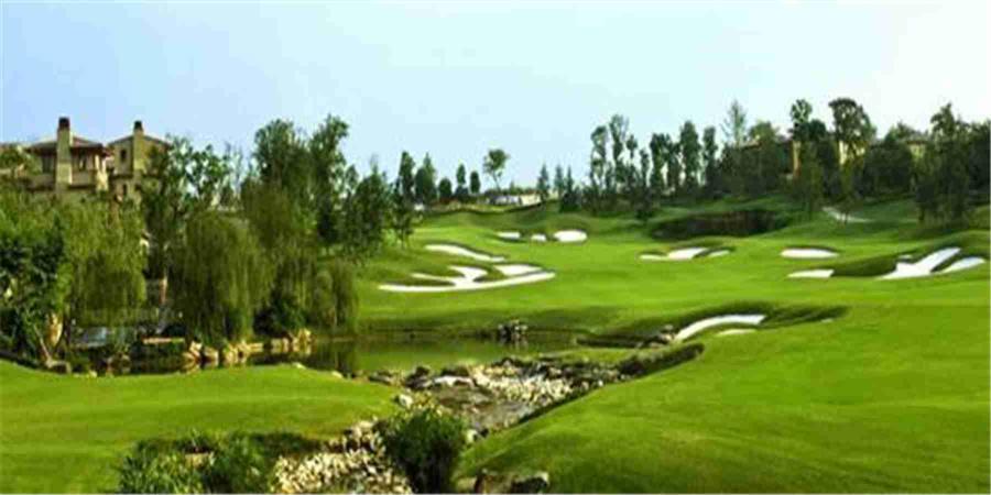 四川成都麓山国际                        