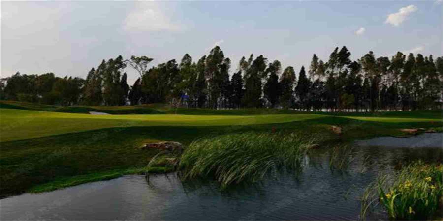 云南昆明中信嘉丽泽（湿地场）