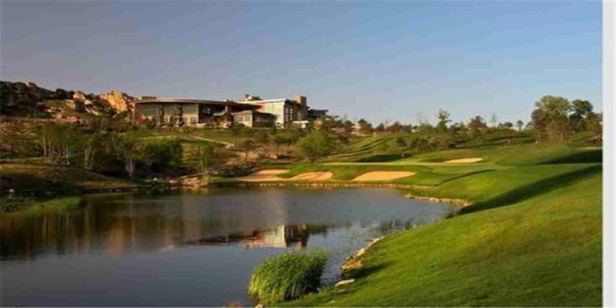 河北秦皇岛松石