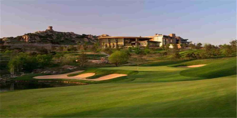 河北秦皇岛松石