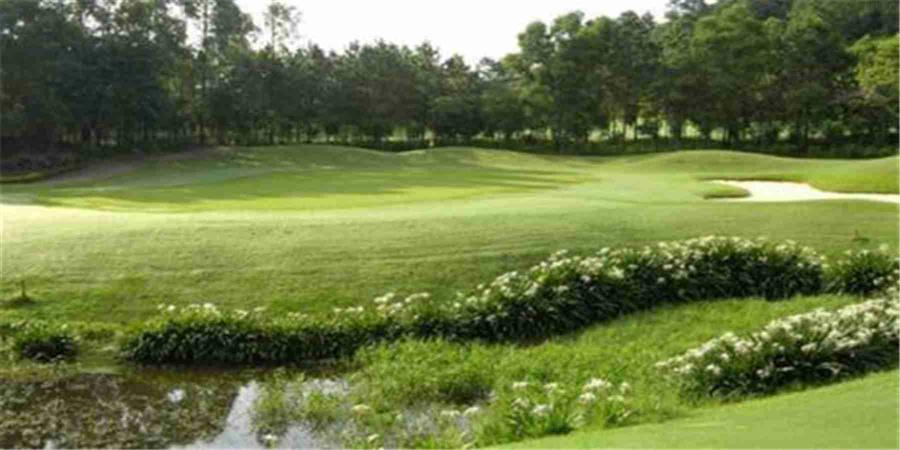 广东佛山高明银海