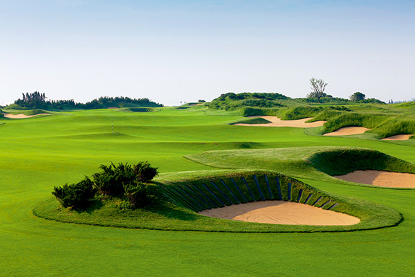 东庄海岸个人会籍 