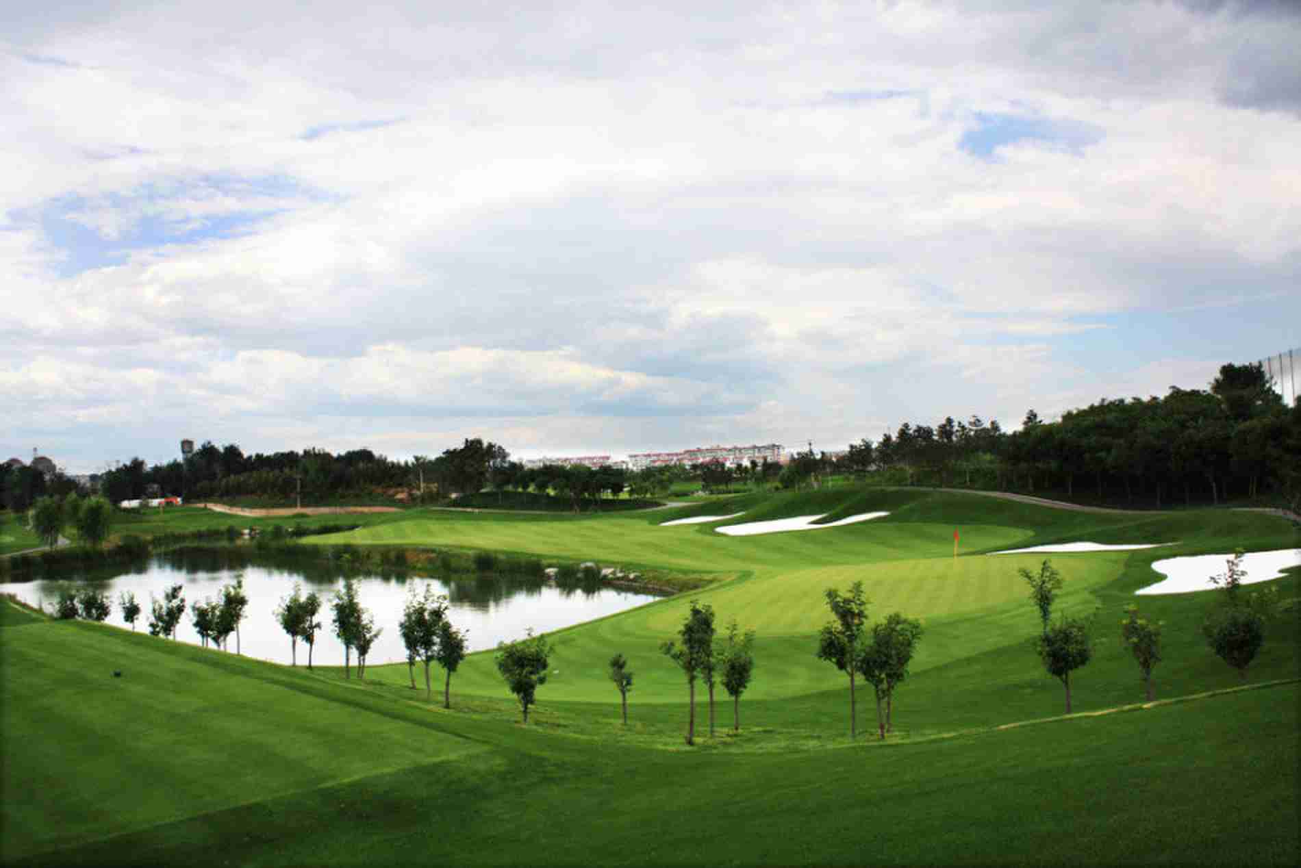 奥园  个人记名 